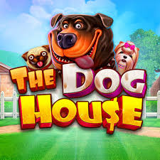 Imagem promocional do aplicativo mobile da 67game